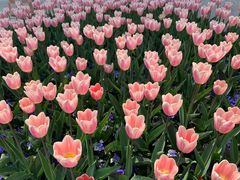 -无锡市市民中心