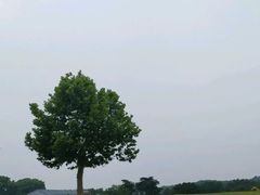 -钟山体育运动公园
