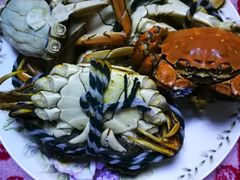 -丫丫蟹庄·苏式园林农家乐·阳澄湖大闸蟹(阳澄湖莲花岛店)