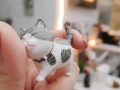 -麓茶