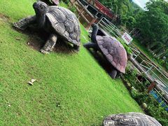 -清迈夜间动物园