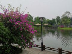 -成飞公园