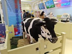 -红星前进面包牛奶公司(君太店)