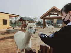 -太原动物园