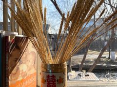 -春风习习