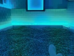 -青水瓦台汤泉(未央店)