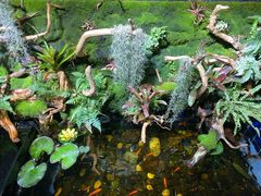 -希望齿科(河西店)