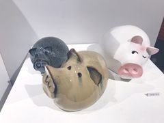 -华南国家植物园-售票处