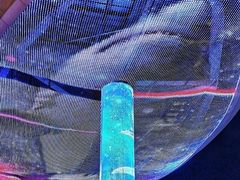 -鼎盛王朝康熙大典实景演出