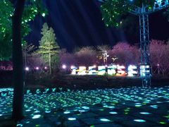 -天适樱花悠乐园