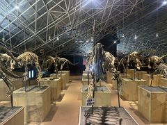 -世界恐龙谷景区