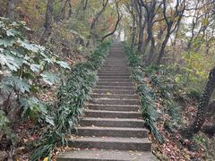 -句容茅山景区