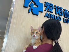 -爱诺耐芙动物医院(万博店)