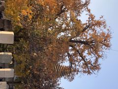-北京石刻艺术博物馆(五塔寺)