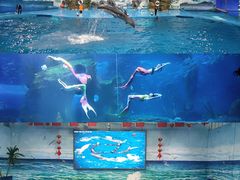 -多彩贵州城极地海洋世界