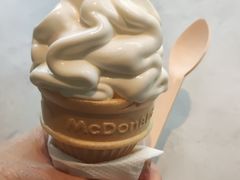 -麦当劳(农光里店)