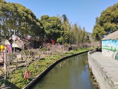 -苏州太湖西山岛开心农场
