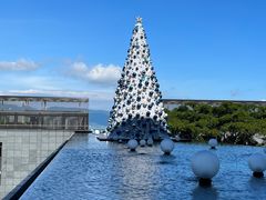-三亚太阳湾柏悦酒店