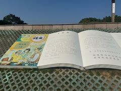 -观潮胜地公园