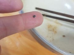 -陈八两面家(华孚写字楼店)