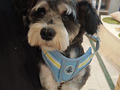 -萌宠主义宠物生活馆(金山路店)