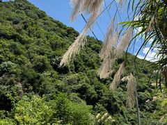 -东白山
