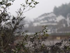 -石塘人家