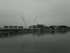 -映月湖中央公园