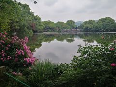 -西湖游船