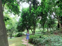 -南山植物园