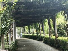 -叶家花园