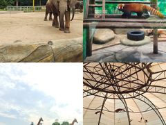 -常州淹城野生动物世界