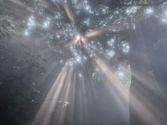 -青青世界