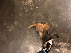 -时光转角咖啡馆(西康路店)