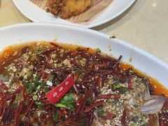 -杨氏青龙虾·羊蝎子(珠江路店)
