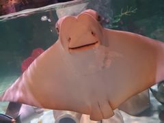 -沈阳海洋探索中心