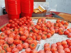 -蒋村酒楼(河渚街店)