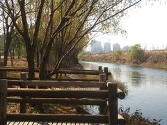android_upload_pic-新江湾城公园