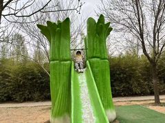 -西部长青自然儿童乐园