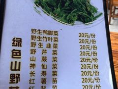 -农家野菜馆