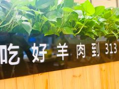 -313羊庄·羊肉火锅烧烤(李村店)