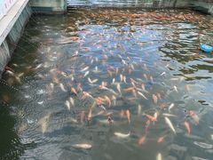 -长春市南湖公园