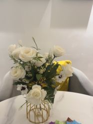 -AiCure 埃可儿·韩国医学皮肤管理