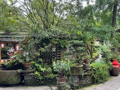 -青城甲(青城山店)