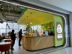 -油梨树AVOCADO TREE(望京店)