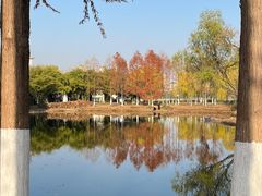 -金银湖国家城市湿地公园