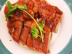 -椿记烧鹅(叠彩店)