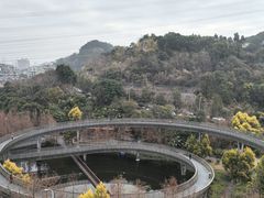 -福道