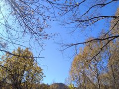 -玉渡山自然风景区