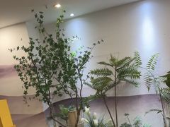 -领享养生会所·采耳·SPA按摩(厦门吕厝店)